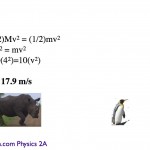 test_4_solutions_only.001